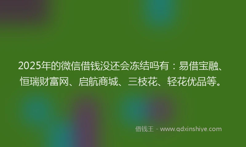 2025年的微信借钱没还会冻结吗有：易借宝融、恒瑞财富网、启航商城、三枝花、轻花优品等。