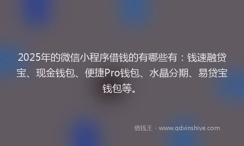 2025年的微信小程序借钱的有哪些有：钱速融贷宝、现金钱包、便捷Pro钱包、水晶分期、易贷宝钱包等。
