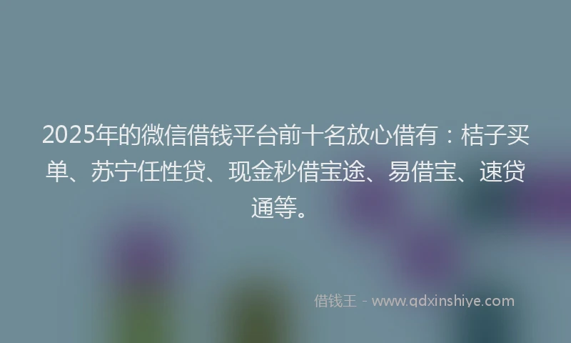 2025年的微信借钱平台前十名放心借有：桔子买单、苏宁任性贷、现金秒借宝途、易借宝、速贷通等。