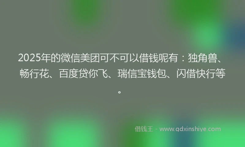 2025年的微信美团可不可以借钱呢有：独角兽、畅行花、百度贷你飞、瑞信宝钱包、闪借快行等。