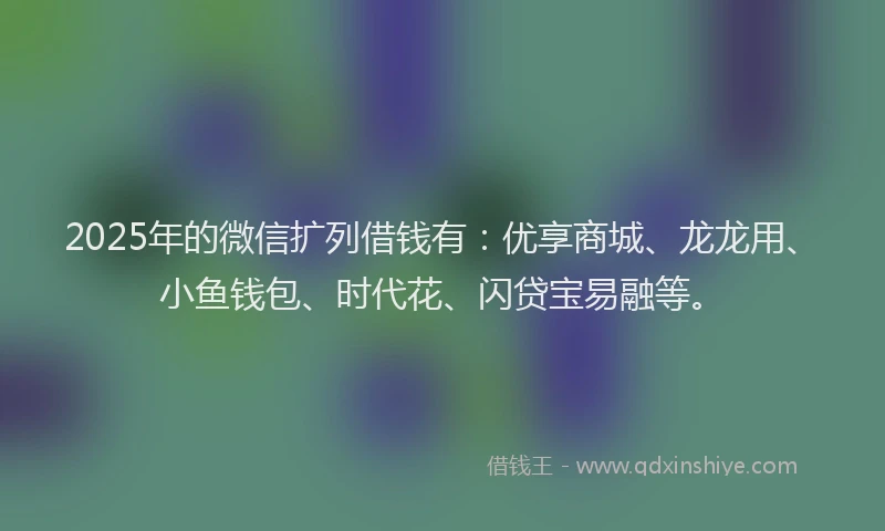 2025年的微信扩列借钱有：优享商城、龙龙用、小鱼钱包、时代花、闪贷宝易融等。