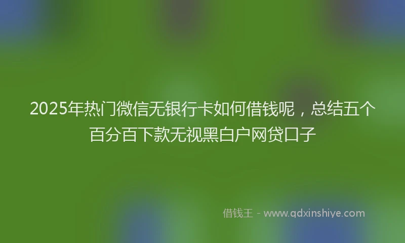 2025年热门微信无银行卡如何借钱呢，总结五个百分百下款无视黑白户网贷口子