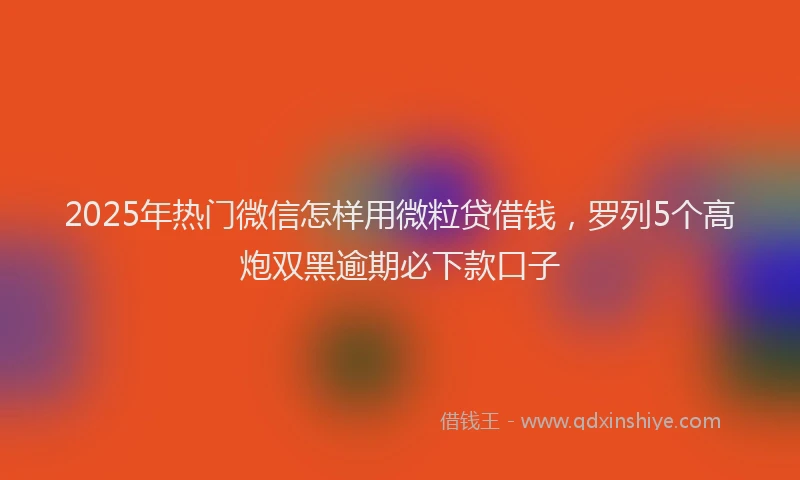 2025年热门微信怎样用微粒贷借钱，罗列5个高炮双黑逾期必下款口子