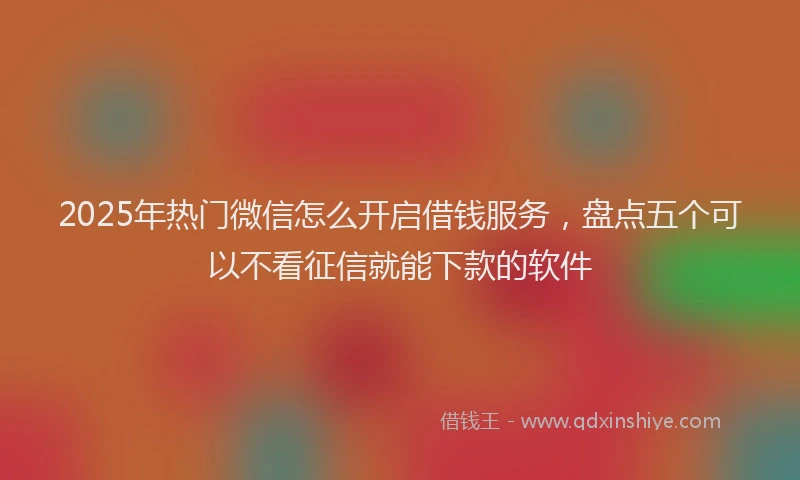 2025年热门微信怎么开启借钱服务，盘点五个可以不看征信就能下款的软件