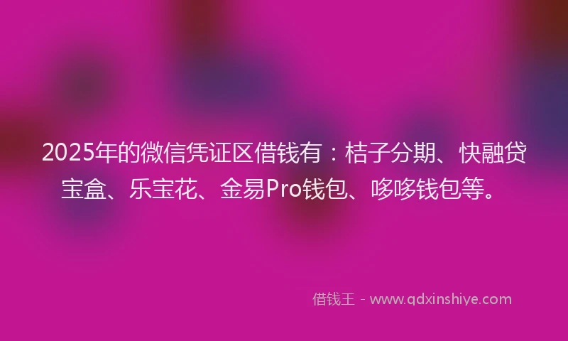 2025年的微信凭证区借钱有：桔子分期、快融贷宝盒、乐宝花、金易Pro钱包、哆哆钱包等。
