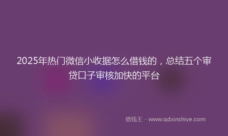 2025年热门微信小收据怎么借钱的，总结五个审贷口子审核加快的平台