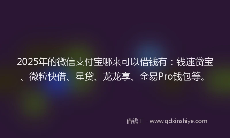 2025年的微信支付宝哪来可以借钱有：钱速贷宝、微粒快借、星贷、龙龙享、金易Pro钱包等。