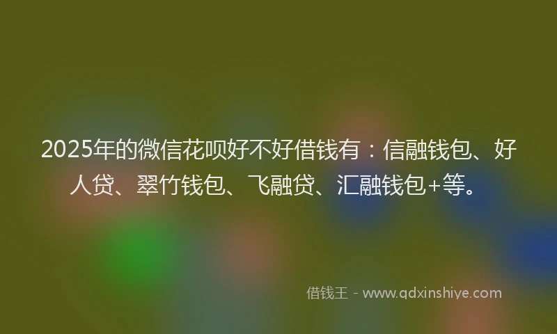 2025年的微信花呗好不好借钱有：信融钱包、好人贷、翠竹钱包、飞融贷、汇融钱包+等。