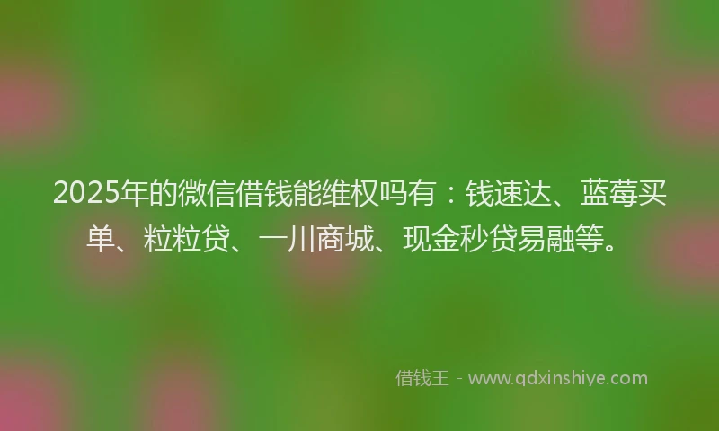 2025年的微信借钱能维权吗有：钱速达、蓝莓买单、粒粒贷、一川商城、现金秒贷易融等。