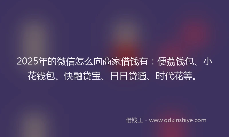 2025年的微信怎么向商家借钱有：便荔钱包、小花钱包、快融贷宝、日日贷通、时代花等。