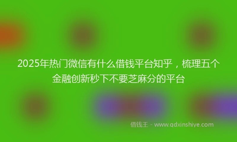2025年热门微信有什么借钱平台知乎，梳理五个金融创新秒下不要芝麻分的平台
