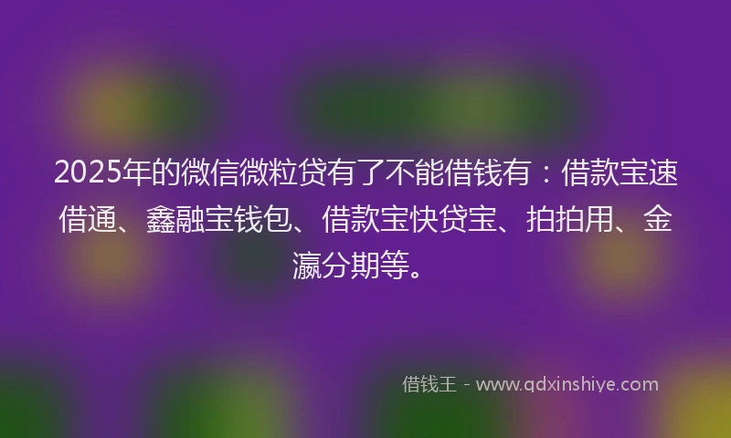 2025年的微信微粒贷有了不能借钱有：借款宝速借通、鑫融宝钱包、借款宝快贷宝、拍拍用、金瀛分期等。