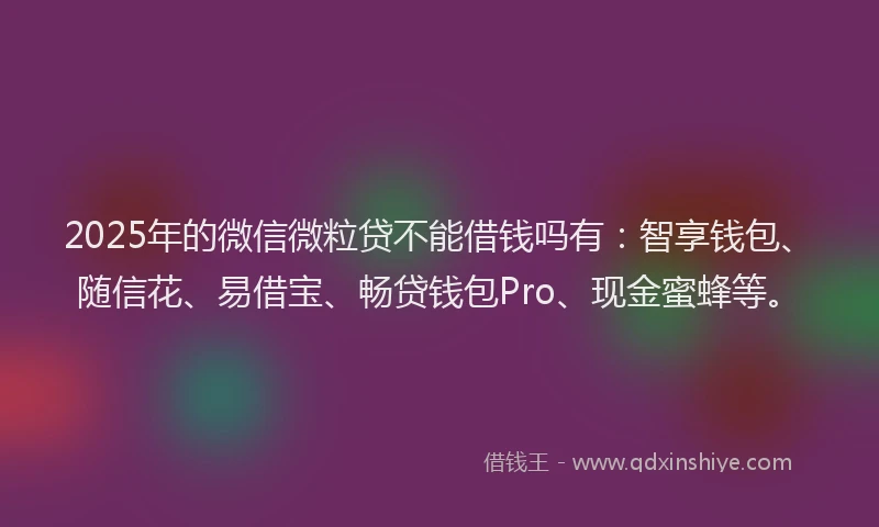 2025年的微信微粒贷不能借钱吗有：智享钱包、随信花、易借宝、畅贷钱包Pro、现金蜜蜂等。