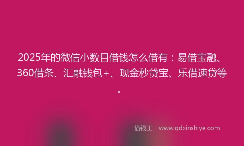 2025年的微信小数目借钱怎么借有：易借宝融、360借条、汇融钱包+、现金秒贷宝、乐借速贷等。