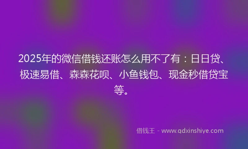 2025年的微信借钱还账怎么用不了有：日日贷、极速易借、森森花呗、小鱼钱包、现金秒借贷宝等。