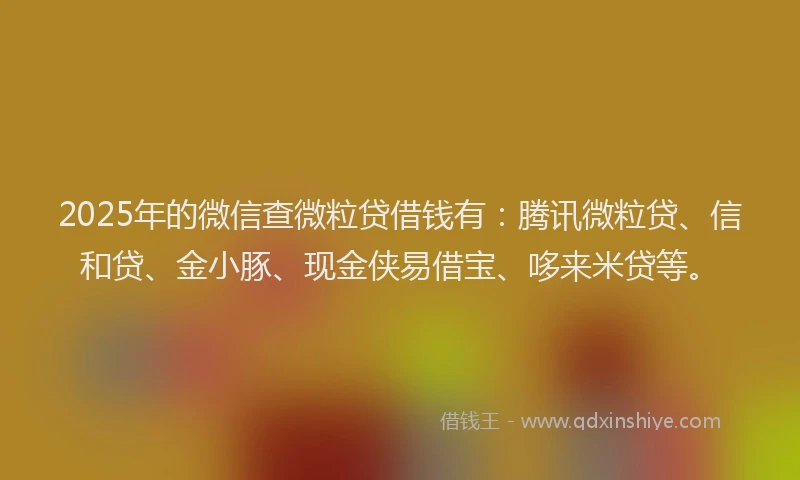 2025年的微信查微粒贷借钱有：腾讯微粒贷、信和贷、金小豚、现金侠易借宝、哆来米贷等。