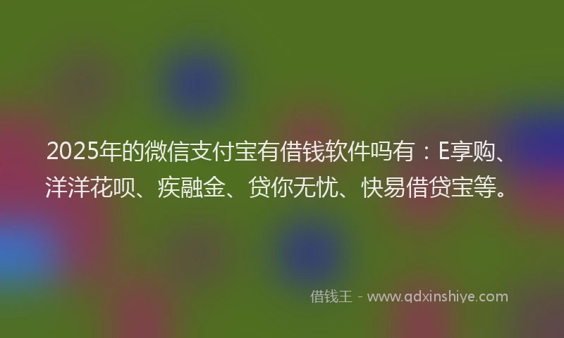 2025年的微信支付宝有借钱软件吗有：E享购、洋洋花呗、疾融金、贷你无忧、快易借贷宝等。