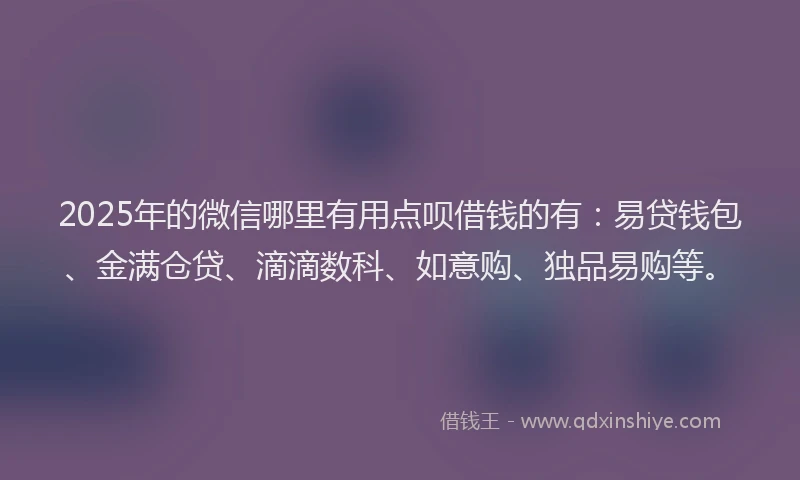 2025年的微信哪里有用点呗借钱的有：易贷钱包、金满仓贷、滴滴数科、如意购、独品易购等。