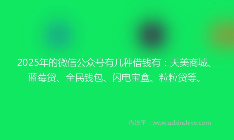 2025年的微信公众号有几种借钱有：天美商城、蓝莓贷、全民钱包、闪电宝盒、粒粒贷等。