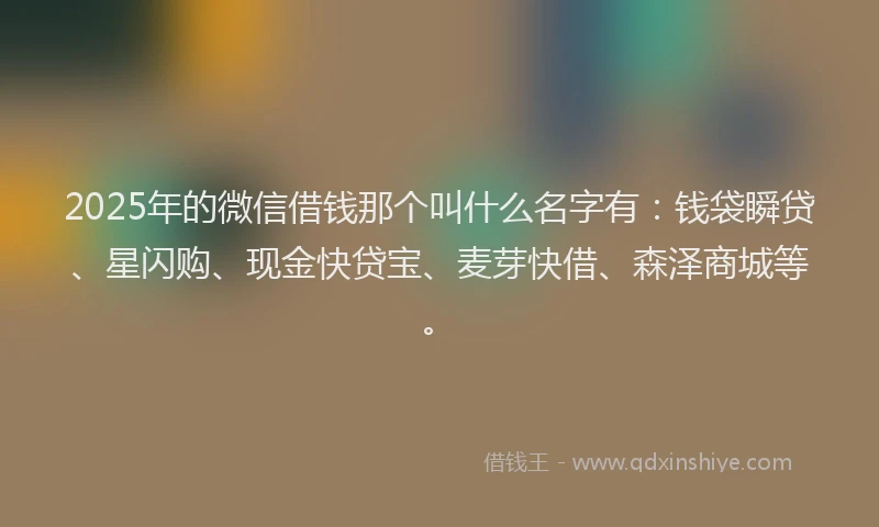 2025年的微信借钱那个叫什么名字有：钱袋瞬贷、星闪购、现金快贷宝、麦芽快借、森泽商城等。