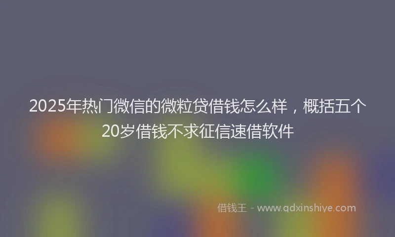 2025年热门微信的微粒贷借钱怎么样，概括五个20岁借钱不求征信速借软件