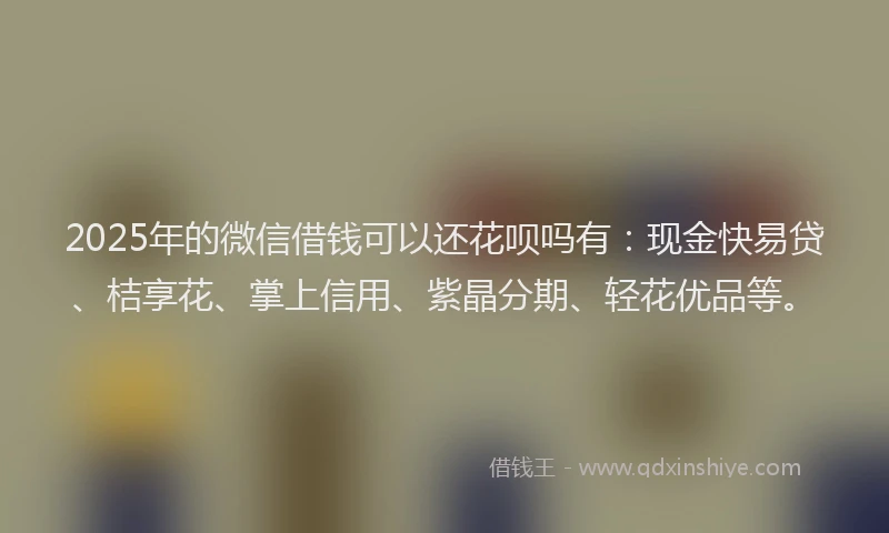 2025年的微信借钱可以还花呗吗有：现金快易贷、桔享花、掌上信用、紫晶分期、轻花优品等。