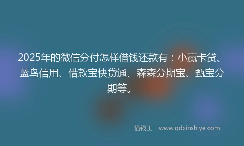 2025年的微信分付怎样借钱还款有：小赢卡贷、蓝鸟信用、借款宝快贷通、森森分期宝、甄宝分期等。