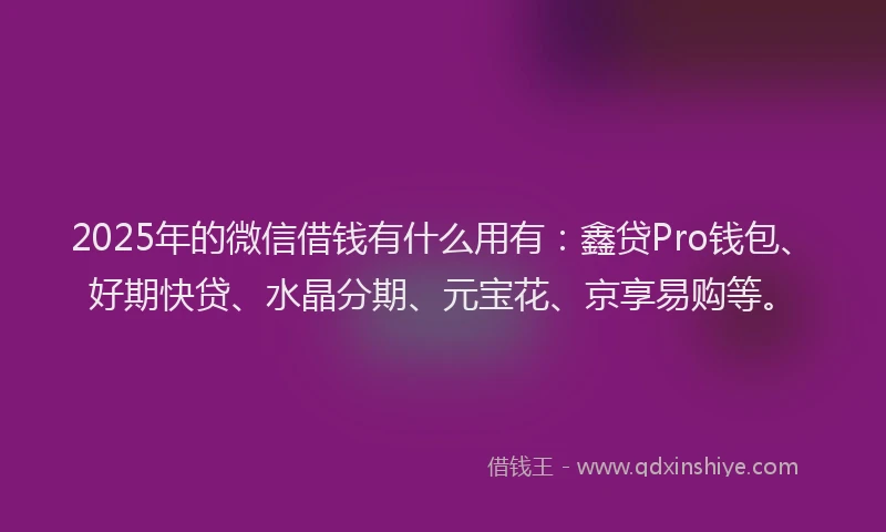 2025年的微信借钱有什么用有：鑫贷Pro钱包、好期快贷、水晶分期、元宝花、京享易购等。
