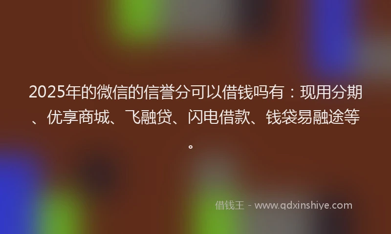 2025年的微信的信誉分可以借钱吗有：现用分期、优享商城、飞融贷、闪电借款、钱袋易融途等。