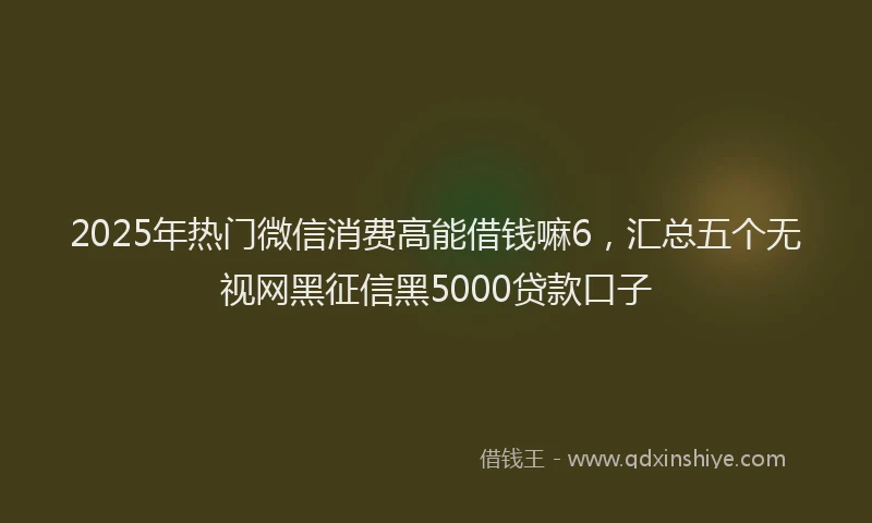 2025年热门微信消费高能借钱嘛6，汇总五个无视网黑征信黑5000贷款口子