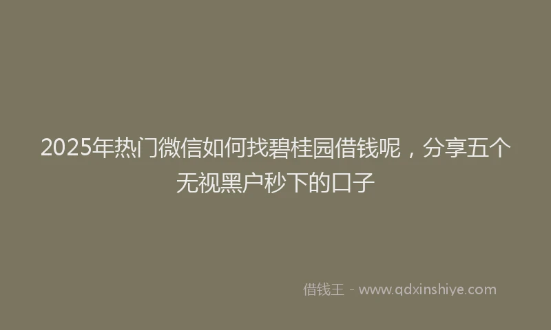 2025年热门微信如何找碧桂园借钱呢，分享五个无视黑户秒下的口子