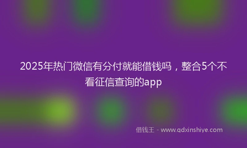 2025年热门微信有分付就能借钱吗，整合5个不看征信查询的app