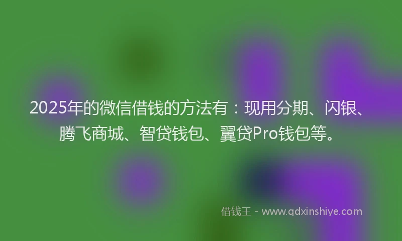 2025年的微信借钱的方法有：现用分期、闪银、腾飞商城、智贷钱包、翼贷Pro钱包等。