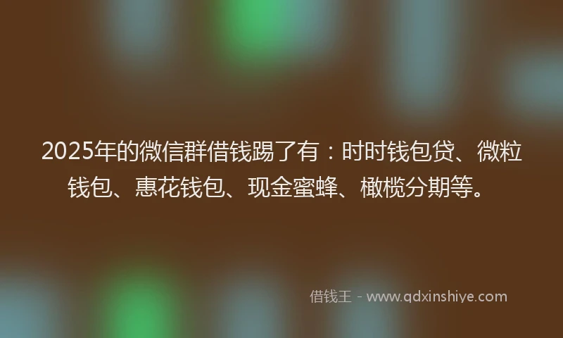 2025年的微信群借钱踢了有：时时钱包贷、微粒钱包、惠花钱包、现金蜜蜂、橄榄分期等。