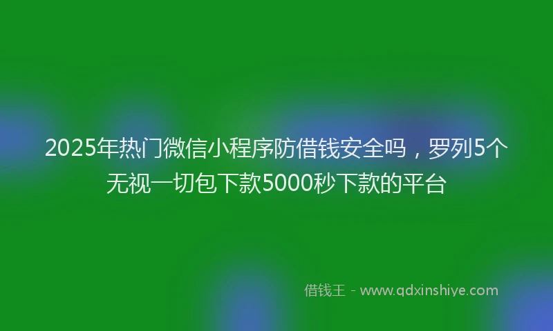 2025年热门微信小程序防借钱安全吗，罗列5个无视一切包下款5000秒下款的平台