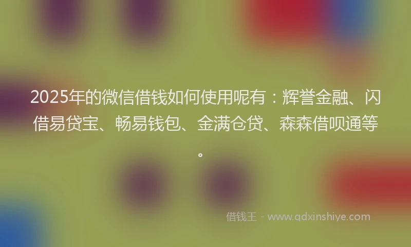 2025年的微信借钱如何使用呢有：辉誉金融、闪借易贷宝、畅易钱包、金满仓贷、森森借呗通等。
