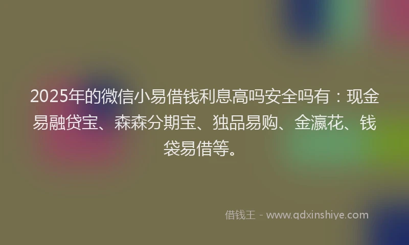 2025年的微信小易借钱利息高吗安全吗有：现金易融贷宝、森森分期宝、独品易购、金瀛花、钱袋易借等。