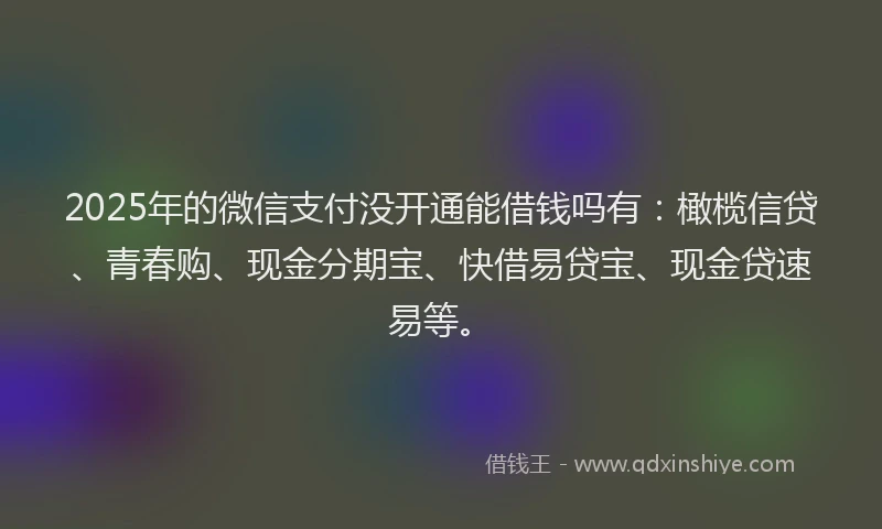 2025年的微信支付没开通能借钱吗有：橄榄信贷、青春购、现金分期宝、快借易贷宝、现金贷速易等。