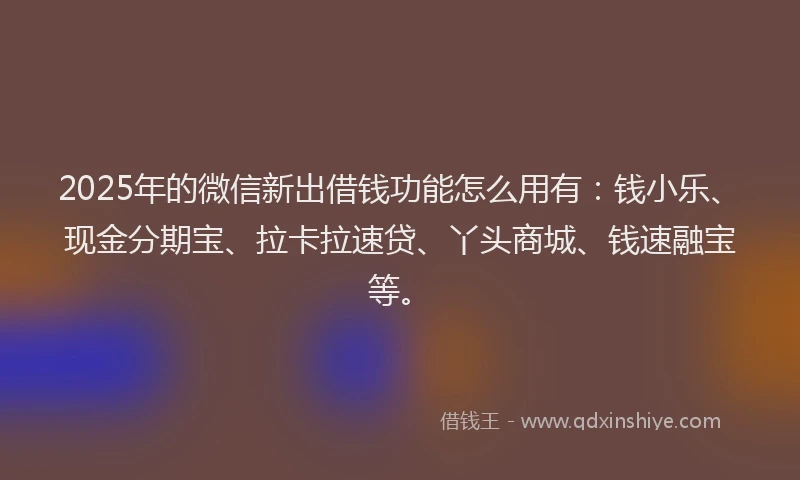2025年的微信新出借钱功能怎么用有：钱小乐、现金分期宝、拉卡拉速贷、丫头商城、钱速融宝等。