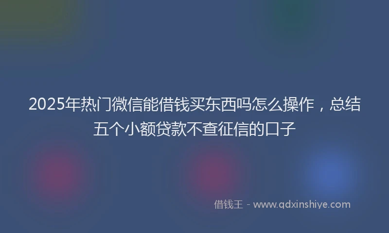 2025年热门微信能借钱买东西吗怎么操作，总结五个小额贷款不查征信的口子
