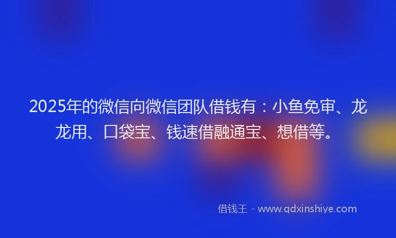 2025年的微信向微信团队借钱有：小鱼免审、龙龙用、口袋宝、钱速借融通宝、想借等。