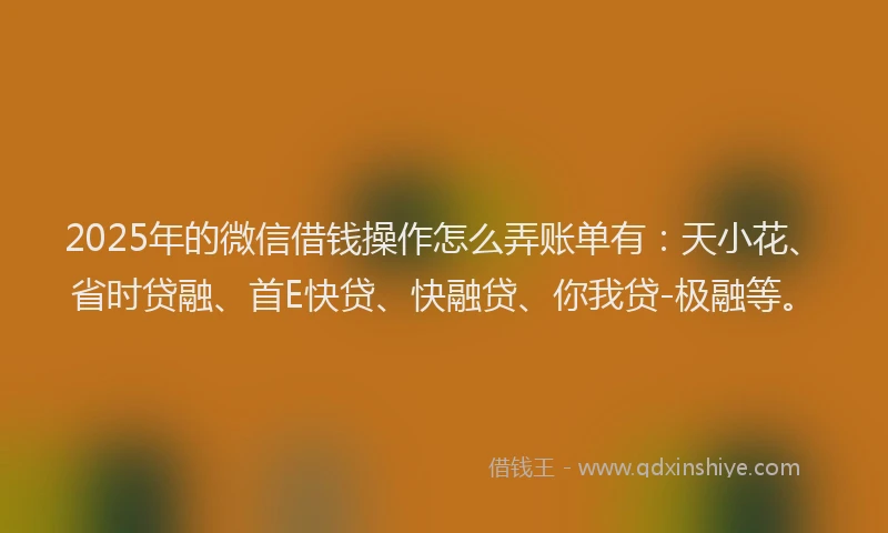2025年的微信借钱操作怎么弄账单有：天小花、省时贷融、首E快贷、快融贷、你我贷-极融等。