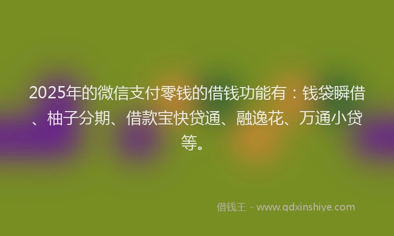 2025年的微信支付零钱的借钱功能有：钱袋瞬借、柚子分期、借款宝快贷通、融逸花、万通小贷等。