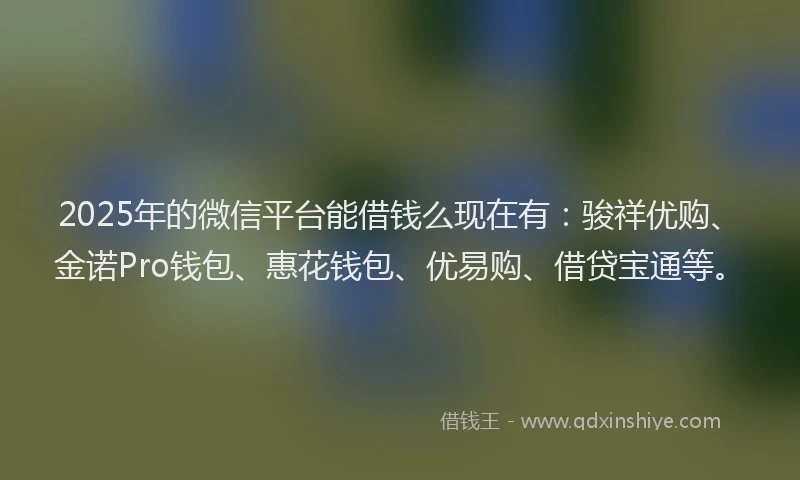 2025年的微信平台能借钱么现在有：骏祥优购、金诺Pro钱包、惠花钱包、优易购、借贷宝通等。
