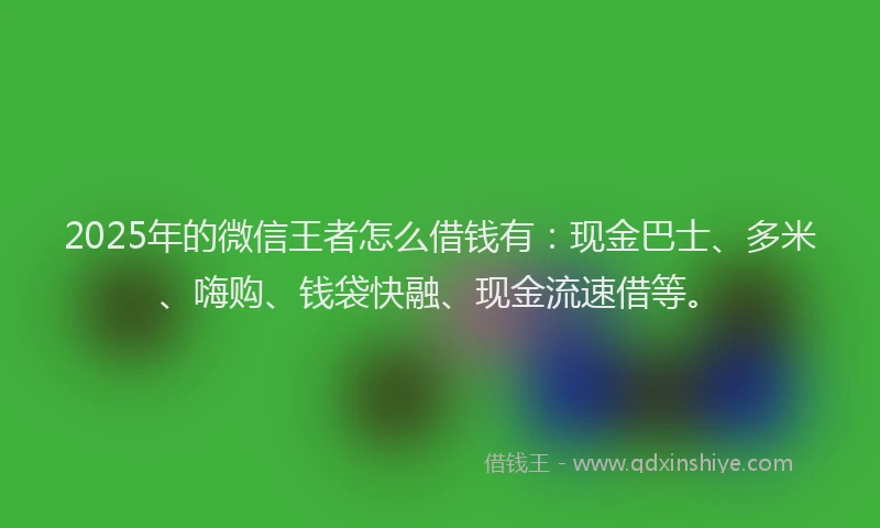 2025年的微信王者怎么借钱有：现金巴士、多米、嗨购、钱袋快融、现金流速借等。