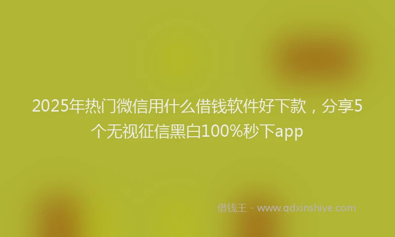 2025年热门微信用什么借钱软件好下款，分享5个无视征信黑白100%秒下app