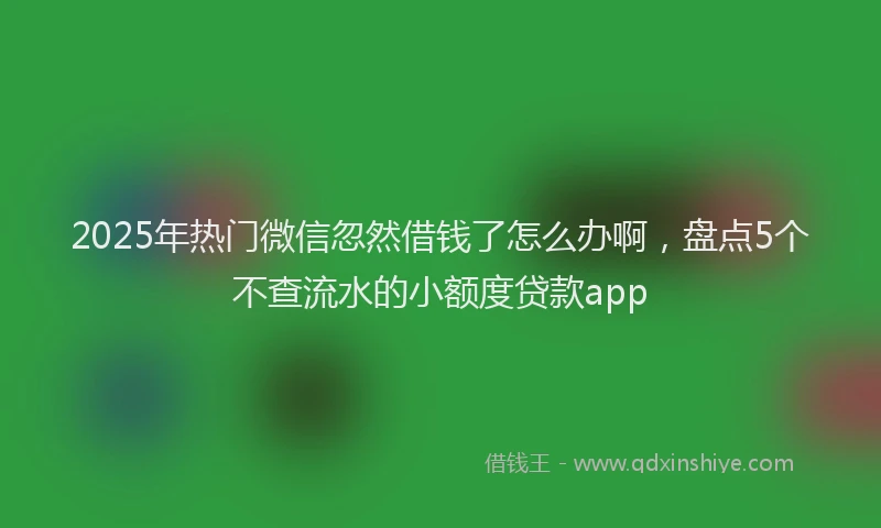 2025年热门微信忽然借钱了怎么办啊，盘点5个不查流水的小额度贷款app