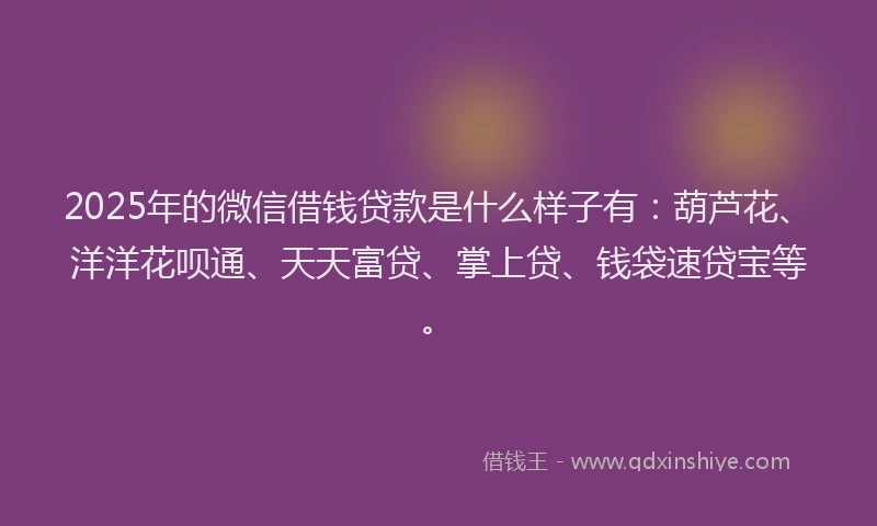 2025年的微信借钱贷款是什么样子有：葫芦花、洋洋花呗通、天天富贷、掌上贷、钱袋速贷宝等。