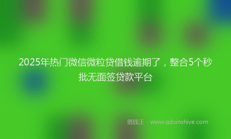 2025年热门微信微粒贷借钱逾期了，整合5个秒批无面签贷款平台