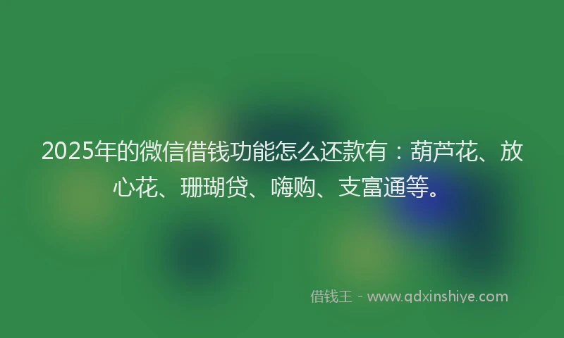 2025年的微信借钱功能怎么还款有：葫芦花、放心花、珊瑚贷、嗨购、支富通等。